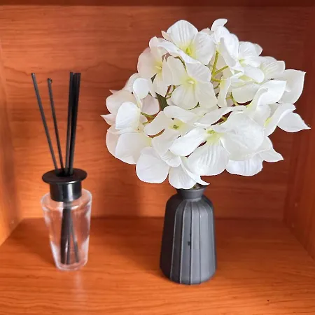 Le Pignon - Tv, 1min De La Mer, * Saint-Jean-de-Monts