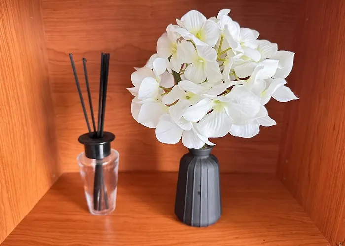 Le Pignon - Tv, 1min De La Mer, * Saint-Jean-de-Monts